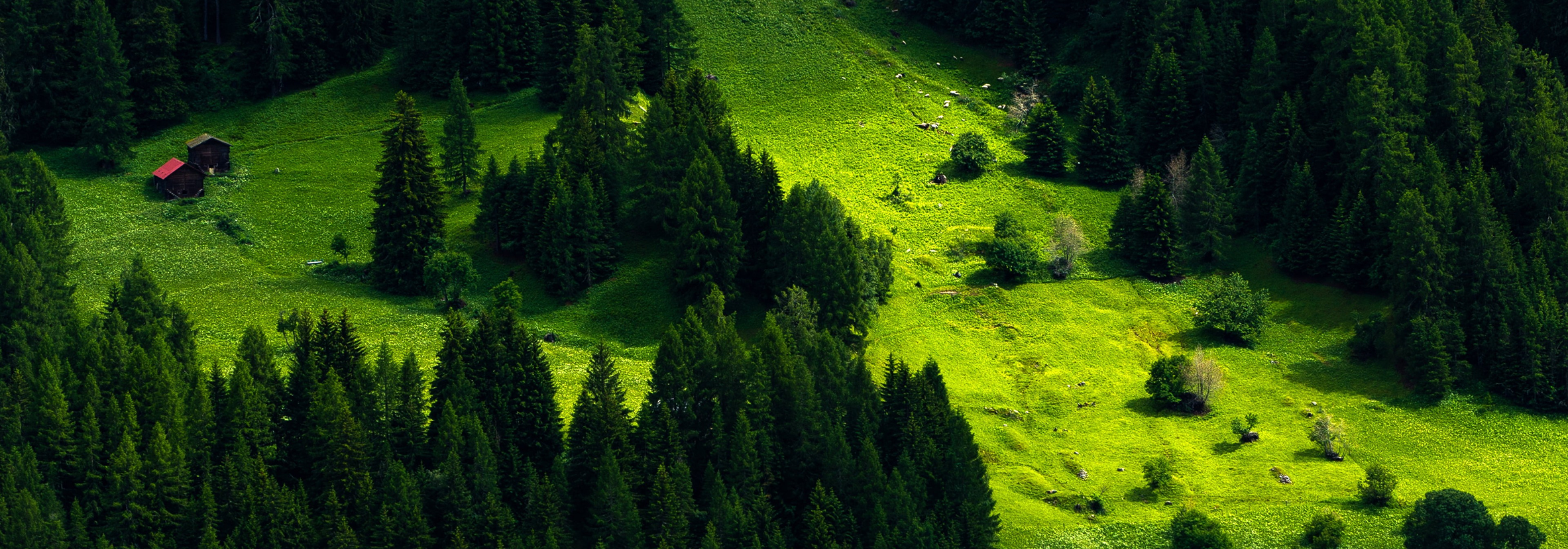 Sustainability Innovation